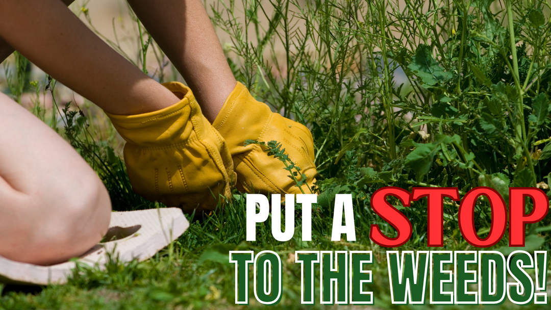 Put A STOP to the Weeds
