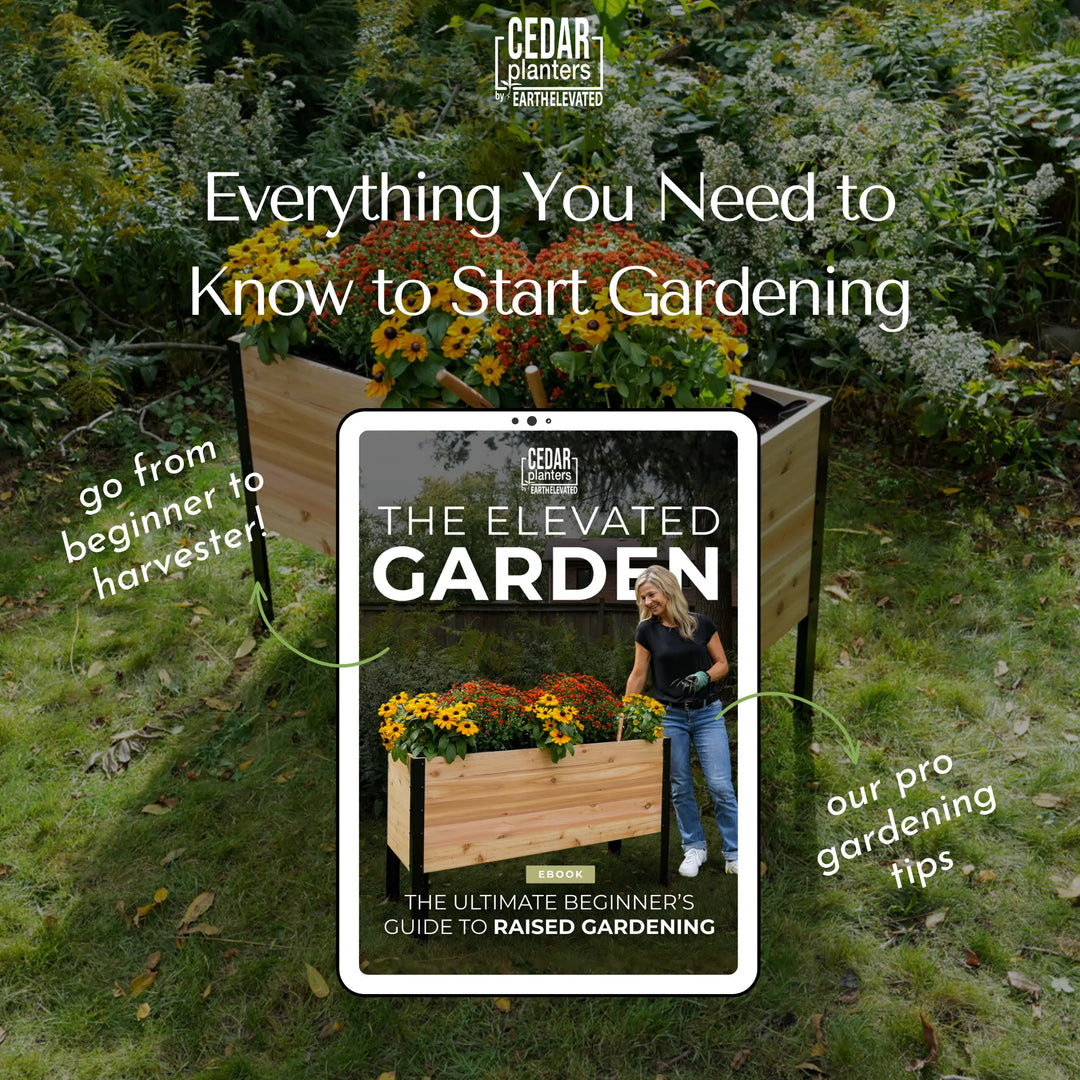 E-Book: Beginner's Guide to Raised Gardening